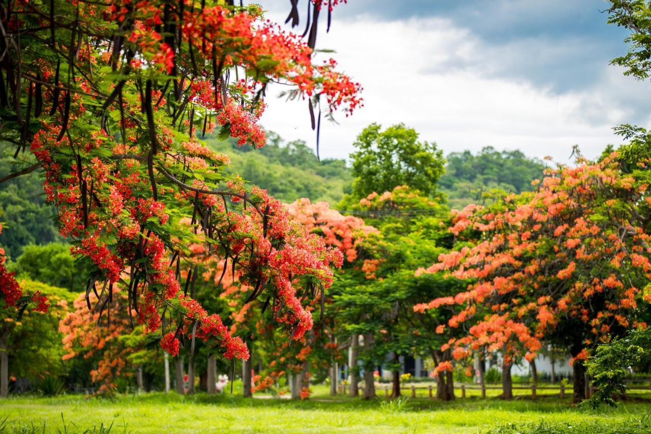 Diamond Hill Resort Nong Nam Daeng Eksteriør bilde